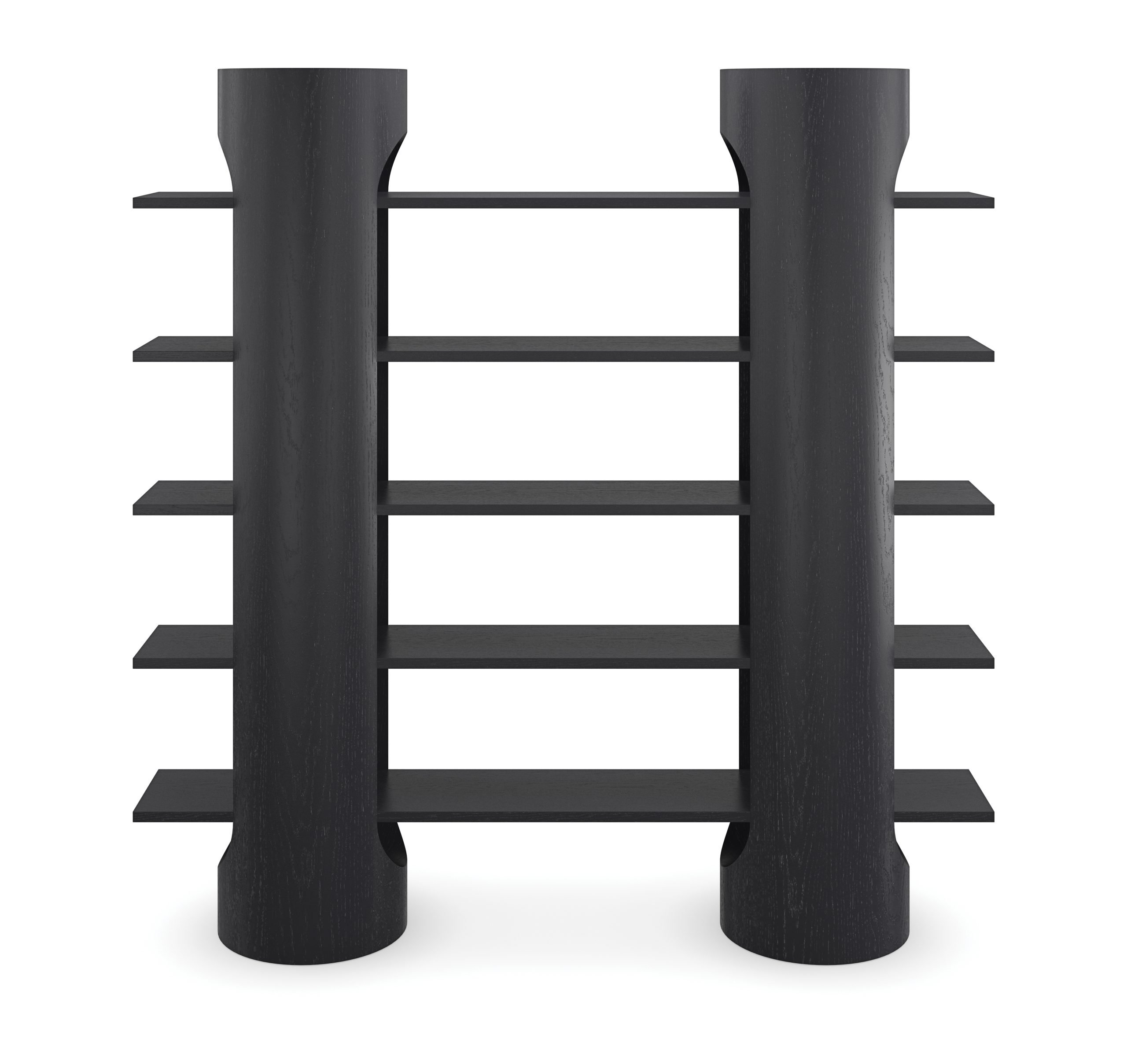 Caracole KHC-023-261 Albi Bookshelf