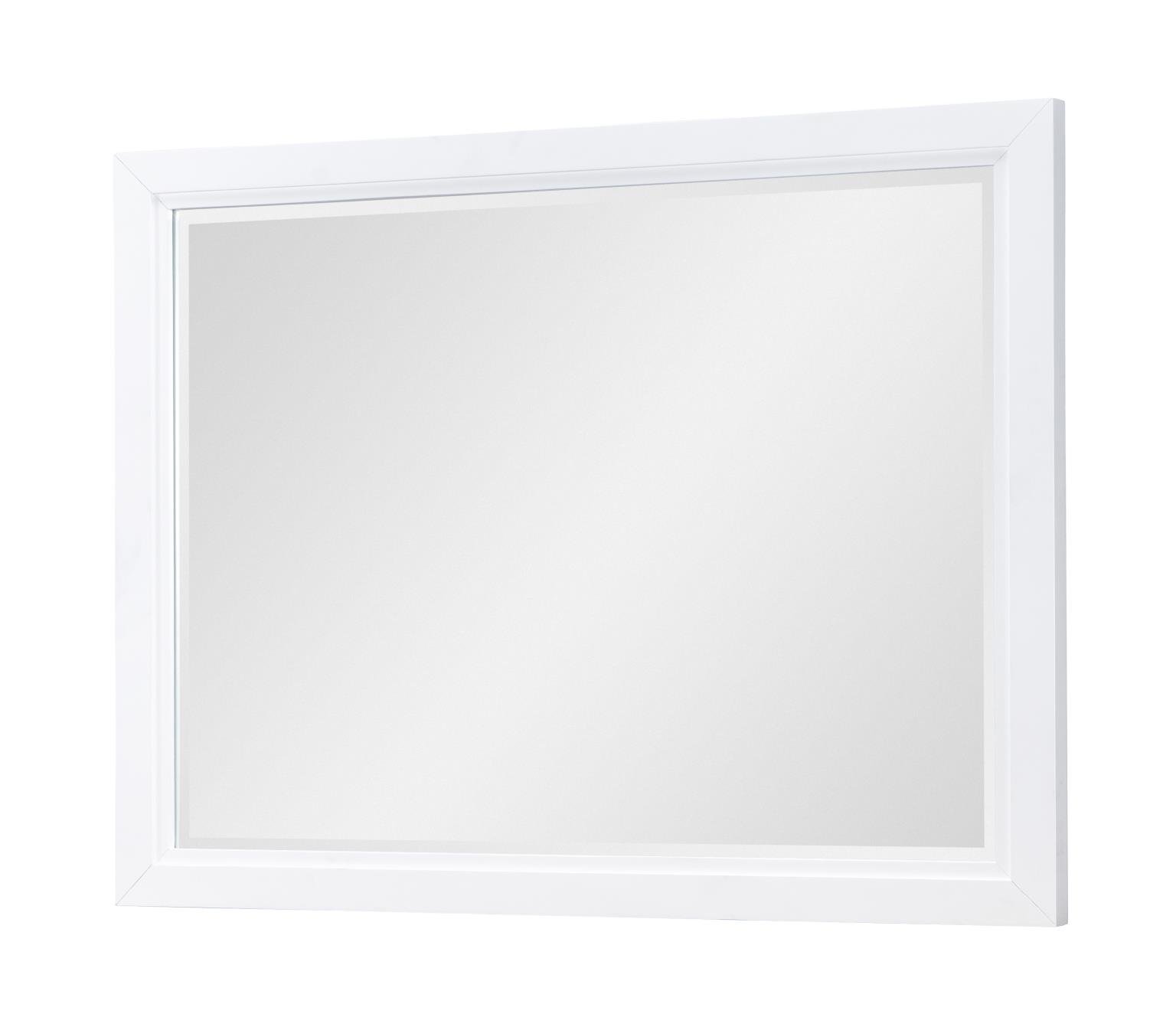 1661-0200 Mirror 1661-0200 Mirror